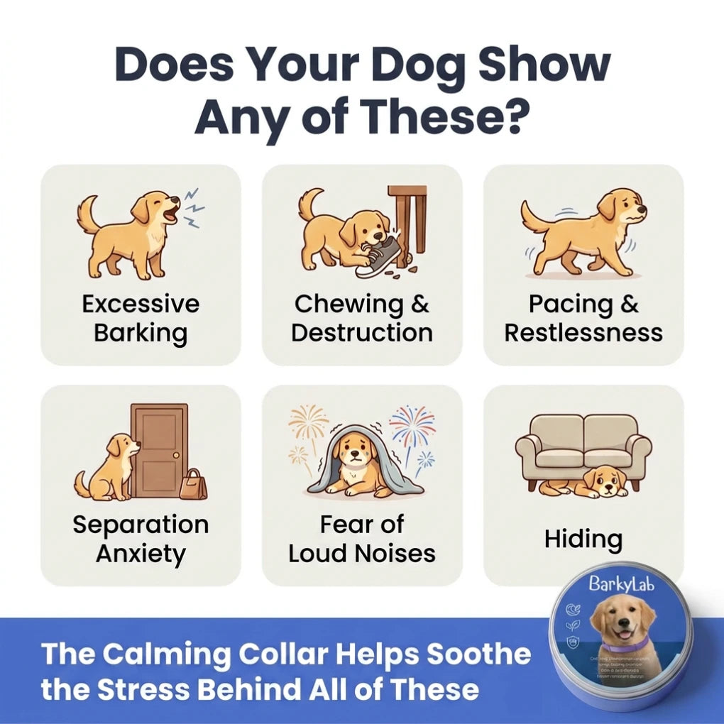 BarkyLab Collar [Free Today]