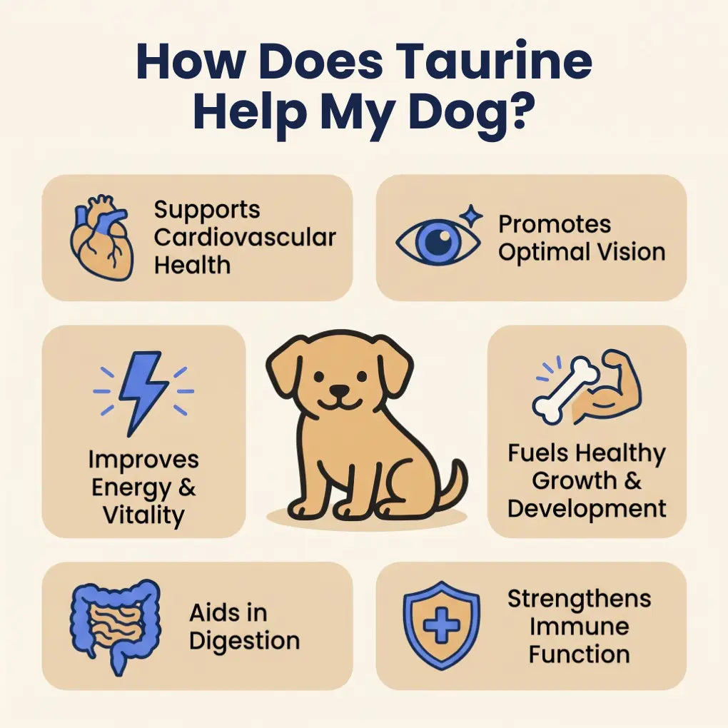 Taurine Powder