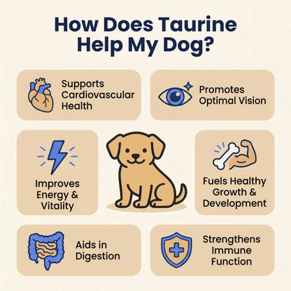 Taurine Powder