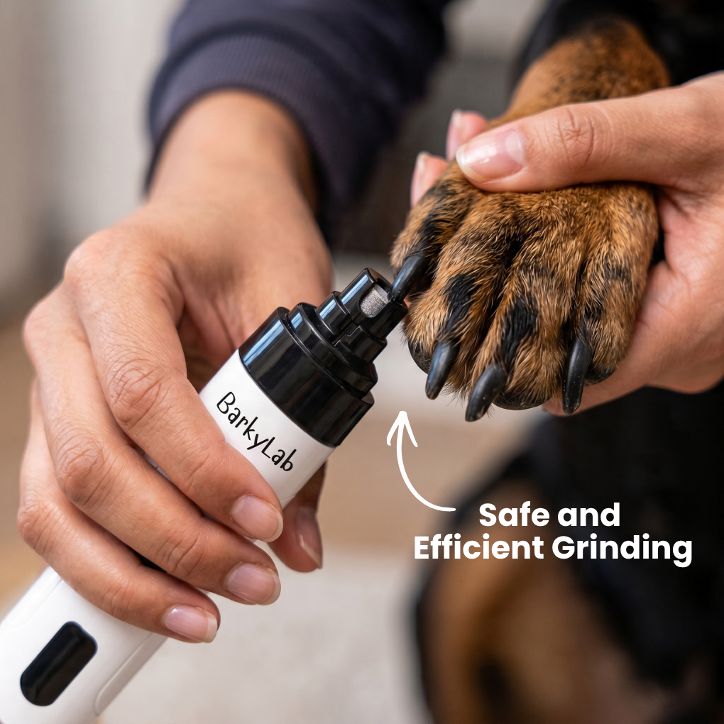HushGroom [Free Today]