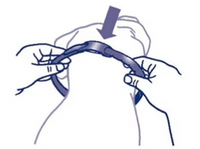 2. Place it gently around your dog’s neck.