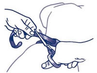 4. Secure the buckle and let your dog enjoy the relaxation!